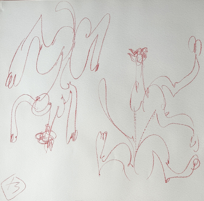XY anka mierzejewska The Red Cat Walking Araund the Sheet of Vanilla Paper